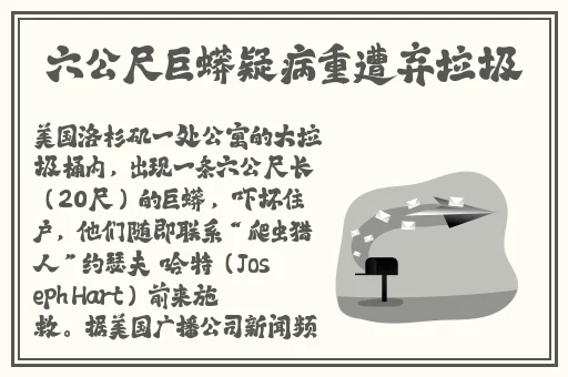 Vam国漫舞摇乘骑